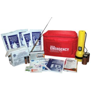 Individual / Auto Survival Kit