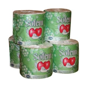 Toilet Paper 2 Ply - Case of 48 Rolls